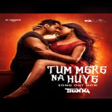 Tum Mere Na Huye